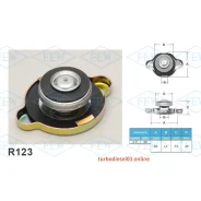 ������ ��������� Futaba R123 (0.9 ��/��2) R123 ����