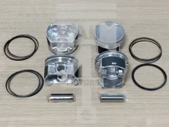 ������� ������ Nissan QR25DE 2.5 12010-EA001 EPNS1003 ����