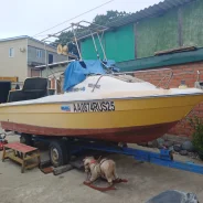 Yanmar. 2000 ���, ����� 6��., ��������� ������������, 50��.�., ������ ����