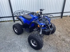 Yamaha Grizzly 125. ��������, ��� ���\���, �� ����