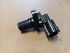 ������� ��������� �����������. ����