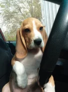 �����. ��� ����� �� ���������� ����