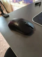 ���� �������. ����