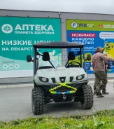 Yamaha Rhino 660. ��������, ��, �� ����