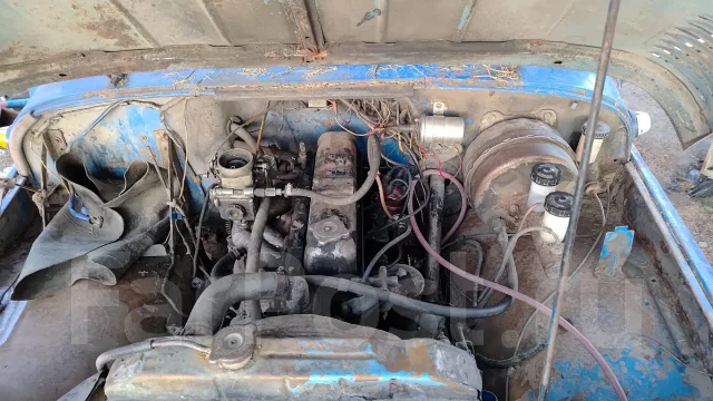 ��� 3151 ����