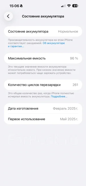 Apple iPhone 16. �����, 256 ��, ������, 3G, 4G LTE, 5G, ����������, NFC, eSIM ����