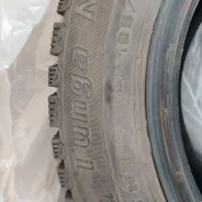 Tunga Nordway. ������, ����������, 2024 ���, �/�, ����� �� 5 % ����