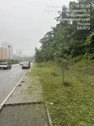 �������-�������, ���������. ��� ����� ������. ����� 50 ��� ����� 23 ����