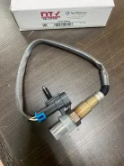 ������ ���� NTY Eslch010 ESLCH010 ����