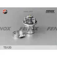 ��������� (+92�C) � ������� Fenox TS120 TS120 ����