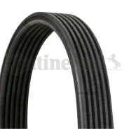 ������ ������������ Contitech Porsche/Volvo Continental 6DPK1853 - 6DPK1853 ����