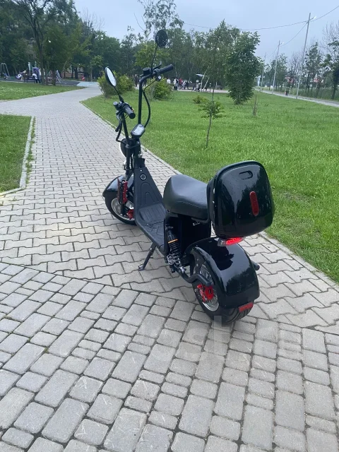 Seev Citycoco. ��������, ��� ���, ��� ������� ����