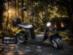 Seev Citycoco. ��������, ��� ���, ��� ������� ����