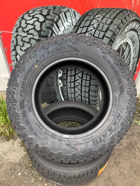 Naaats. ����� at, 2026 ���, ����� ����