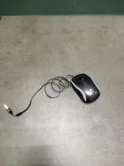 ���� ������������. ����