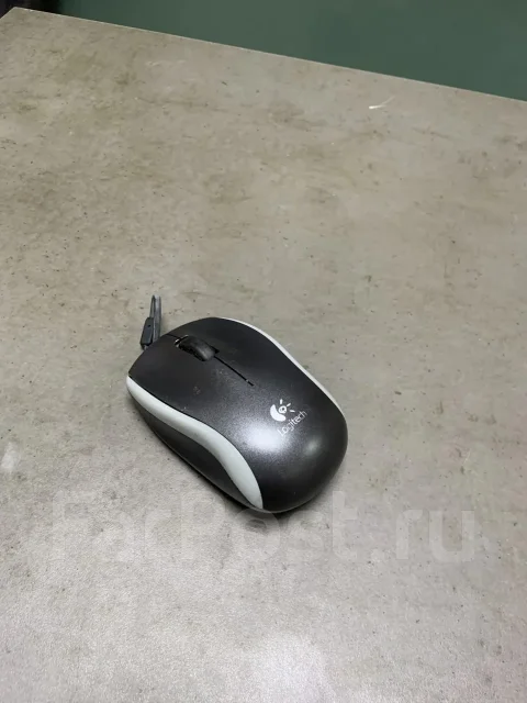 ���� ������������. ����