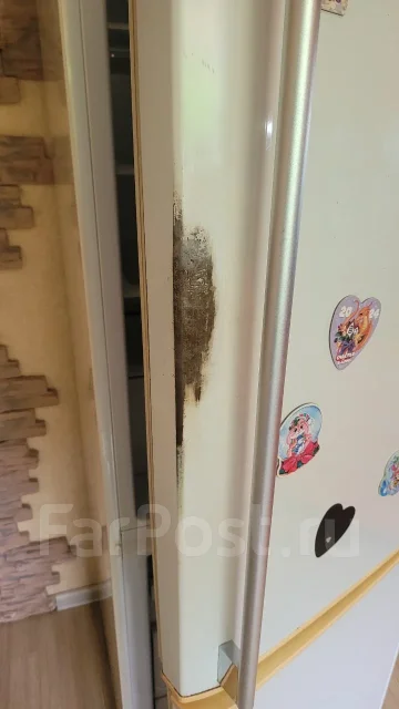 ������������. ����