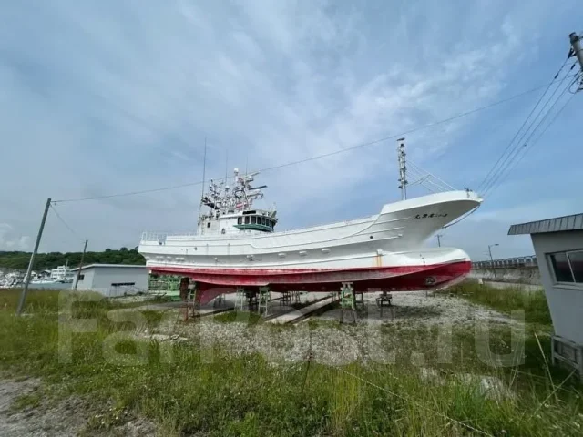 ����������� ����� 29�. 2001 ���, ����� 19,66��., ��������� ������������, 1 100��.�., ������. ��� ����� �� ������������ ����