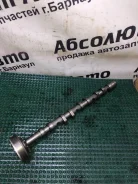���������� Audi A4 06D109102AK 8E5 BVY 06D109102AK ����