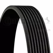 ������ ������������ Contitech 8PK1175 Contitech 8PK1175 8PK1175 ����