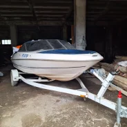 Bayliner. ��������� ��������� ����