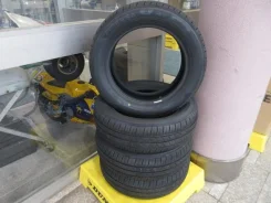 Bridgestone Finessa HB01