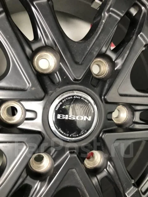 Lenso Vision-Bizon
