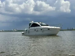 Bavaria. 2011 ���, ����� 11��., 294��.�., ������ ����