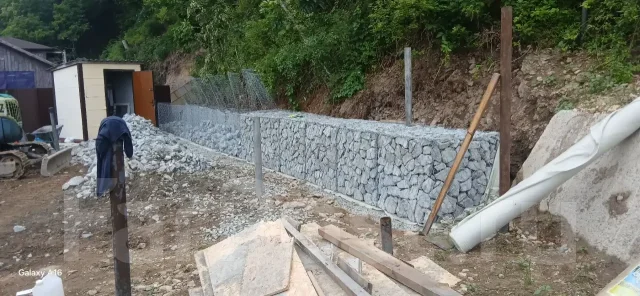 ������ ��������. ����