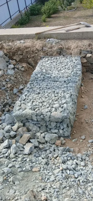 ������ ��������. ����