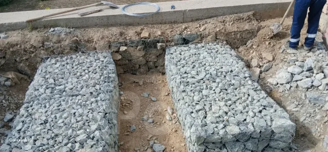 ������ ��������. ����