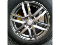 Fuji Copp SG-E