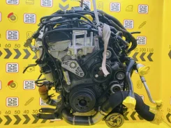 ��������� [397807] Land Rover: Discovery Sport, Freelander, Range Rover Evoque | L550, L359, L538 | 2012 ��� | PT204, 204PT | ��������|DZ25 LR025366 �...