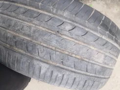 Blacklion BU66 Champoint. ������, 2019 ���, �/�, ����� 40 % ����