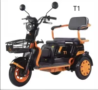 �������������� Kugoo T1 ����