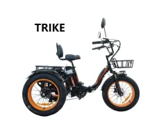�������������� Kugoo Trike ����
