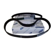 �������� ������������ ������ FORD 1829195 FORD 1829195 1829195 ����