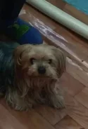 ������. ����
