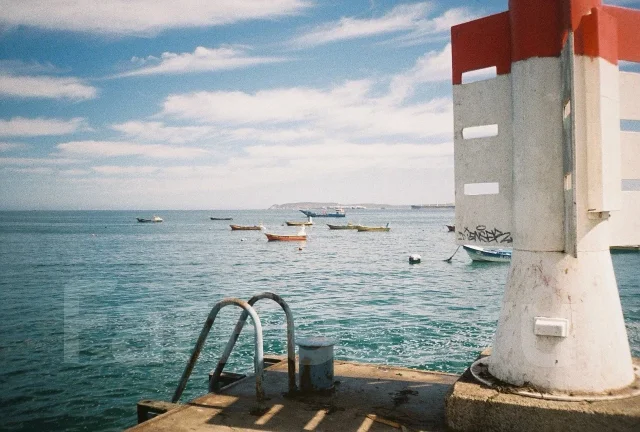 Olympus Trip. ����� 4-� ��, ���: ��� ���� ����
