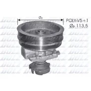 ������� ����� DOLZ S218 S218 ����