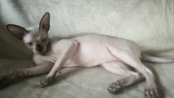 ��������� ������. ��� ����� �� ������������ ����