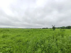 ������ �������� ������� � ���������� 2. 400����., ����� ���������� �������, �������������. ���� ������� ����