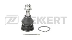 ����� ������� ���� TG5195 TG5195 ����