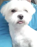 ����� �����. ����