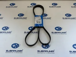 ������ ��������� XV, S13 20B, 25B SKF [VKMV6PK2155] VKMV6PK2155 ����