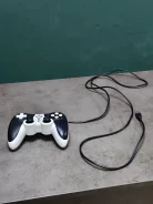 ��������. ����