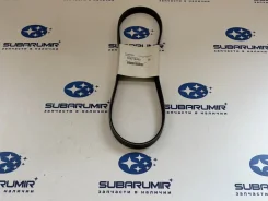 ������ ��������� ������� 5PK874 Subaru [809218460] 809218460 ����