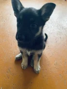 ����� � ������ ���� ����