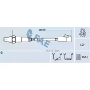������-���� FAE 77170 ����