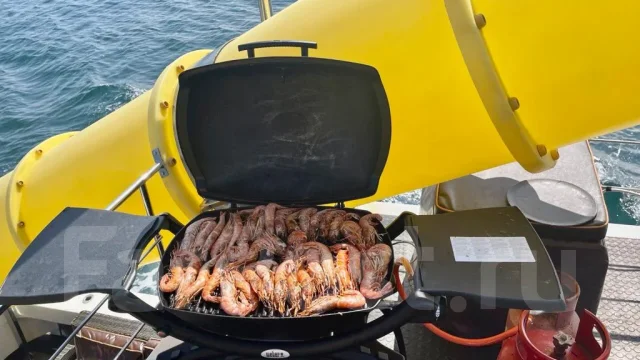 ������ ����. 12 ������� ����